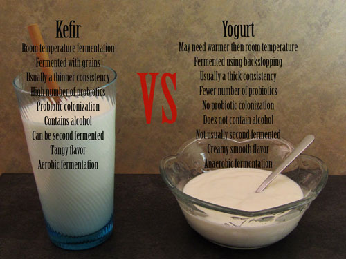 Glass of Kefir and a bowl of yogurt