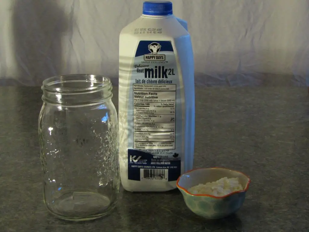 A jug of goat milk an empty mason jar and a bowl of kefir grains