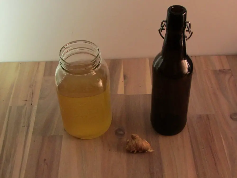 Fresh ginger root with a mason jar of kombucha with an empty swing top bottle 
