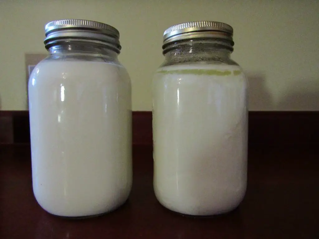 A jar of normally fermented yogurt and a jar of yogurt fermented at a hot temperature.  
Hot  temperature yogurt has separated.