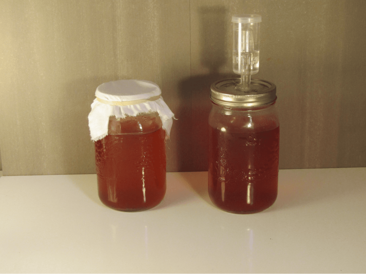 two mason jars of fermeting kombucha one with a cloth top and another with an airlock