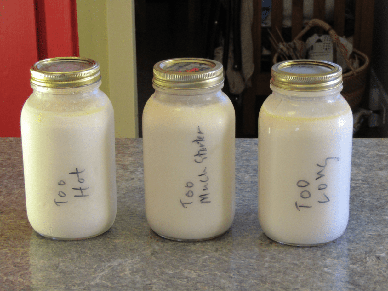 Three Mason Jars filled with yogurt