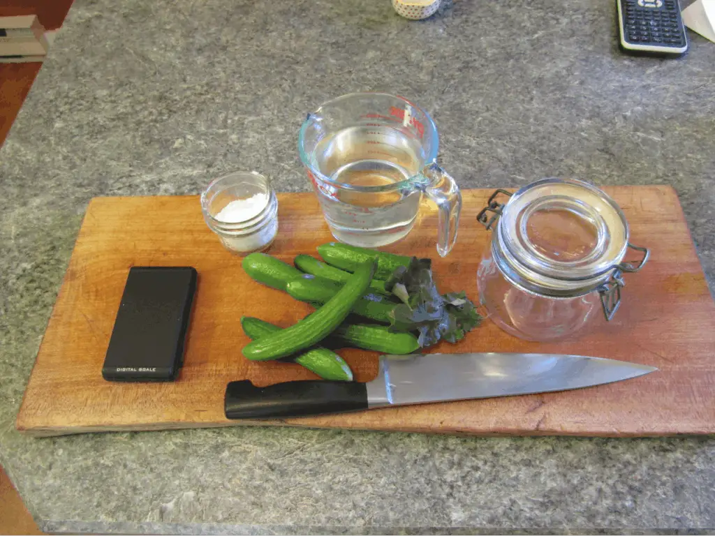 ingredients and equipment needed to make pickles