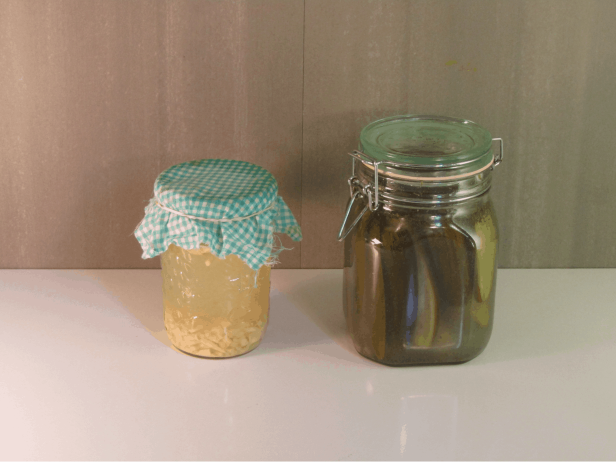 Jar filled with ginger bug and a jar filled with homemade pickles