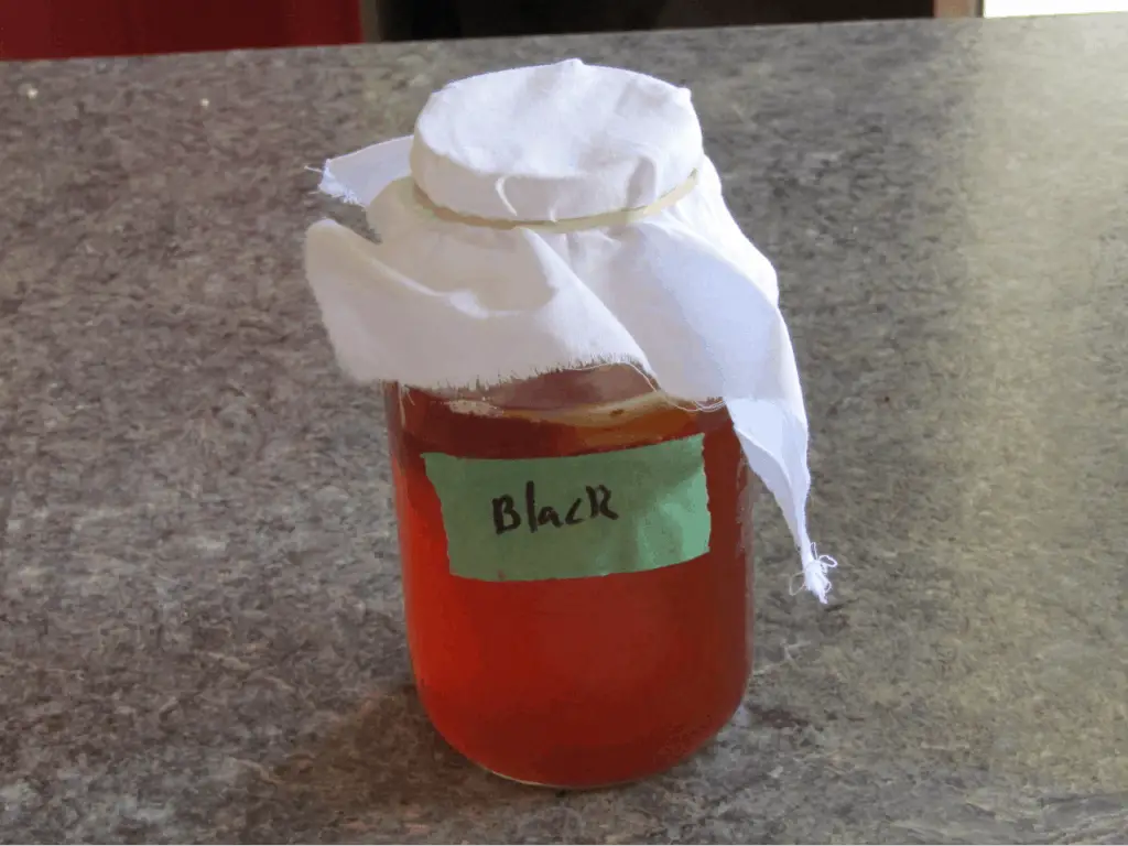 Mason jar of kombucha made with black tea