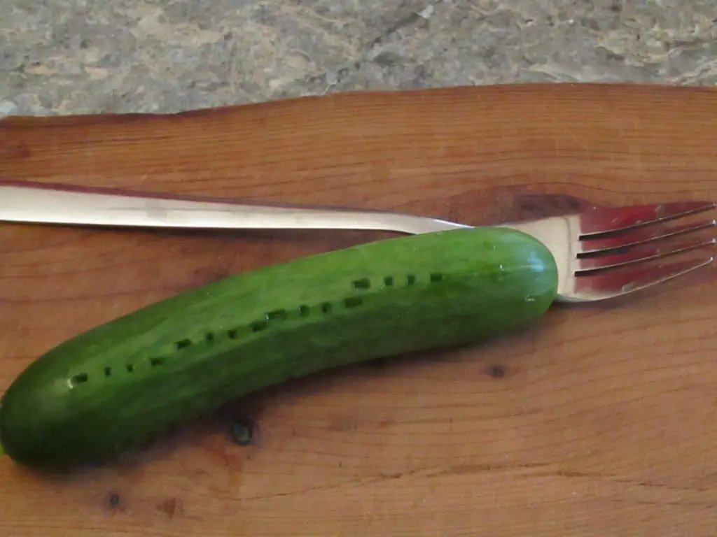 Cucumber stabbed with a fork several times
