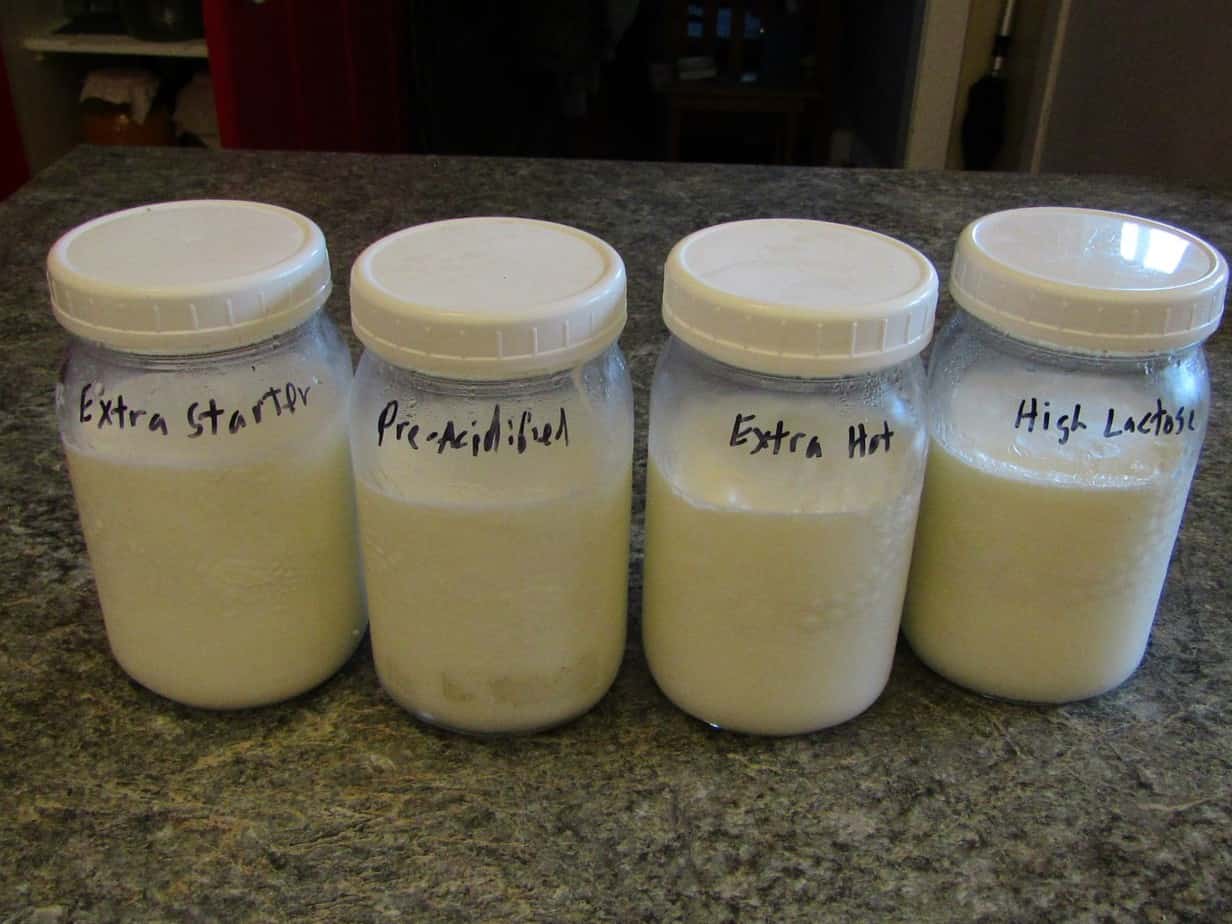 Four mason jars of yogurt