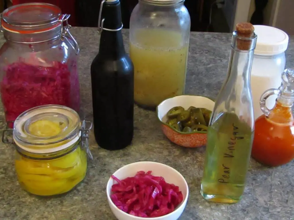 Many types of fermented foods including sauerkraut, vinegar, kombucha, lemons, and onions