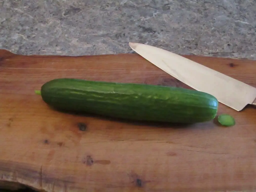 Cucumber with the blossom end removed