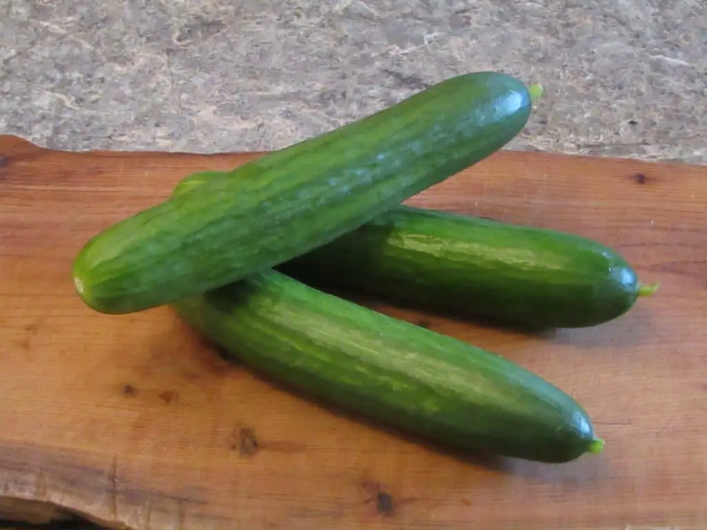 Three fresh cucumbers