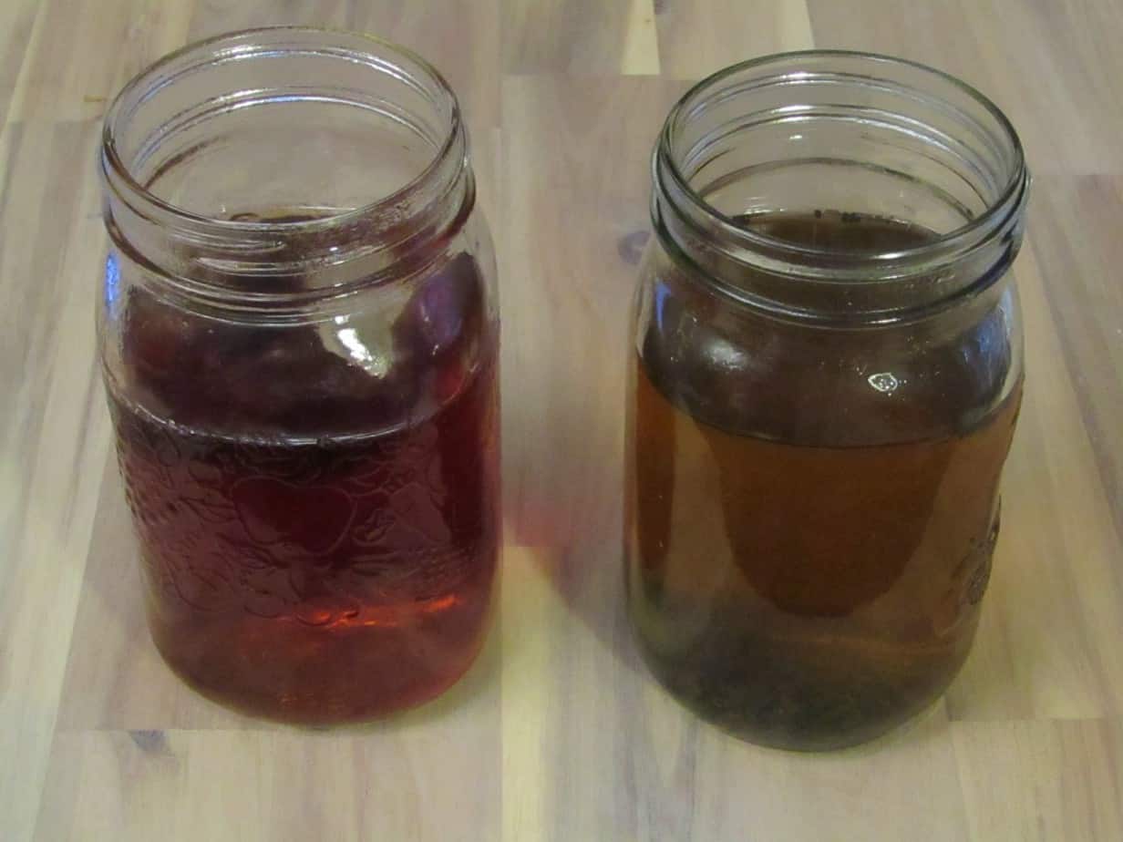 Two mason jars of kombucha tea