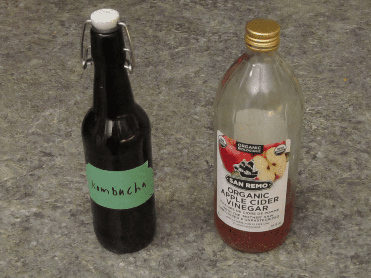 Bottle of kombucha and apple cider vinegar
