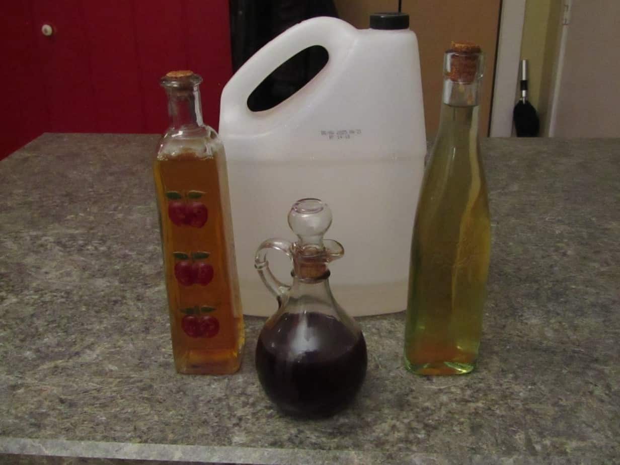 Four types of vinegar: Strawberry, Eldeberry, pear and white