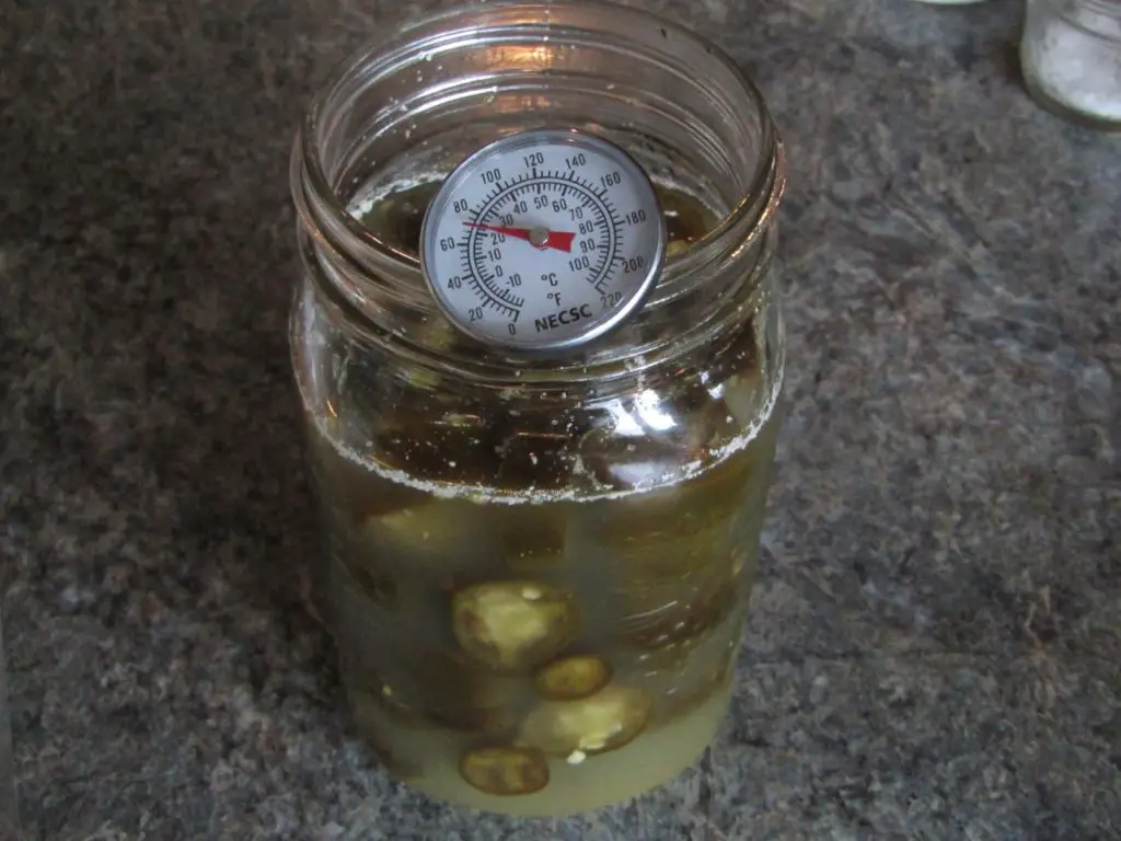 jar of jalapenos with a thermometer in it
