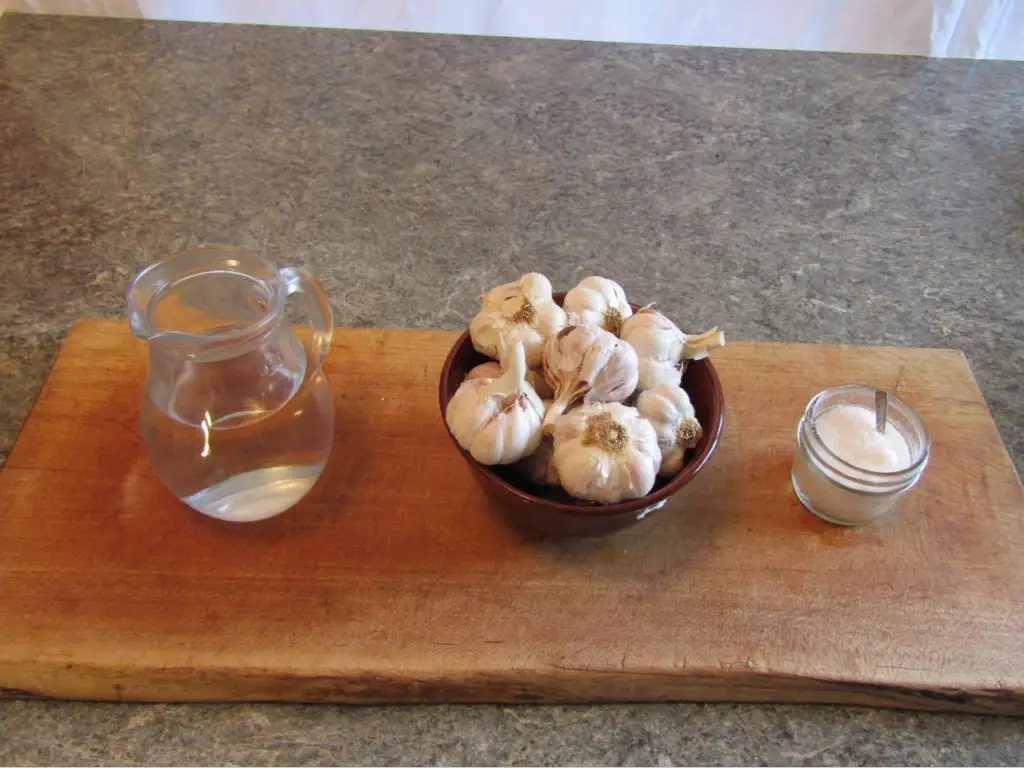 a pitcher of water, a bowl of galic heads and a container of salt sitting on a cutting board