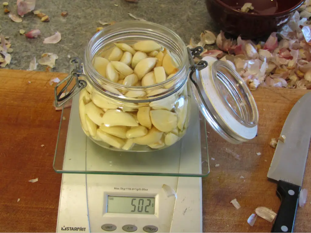 jar filled with garlic cloves and water sitting on a scale