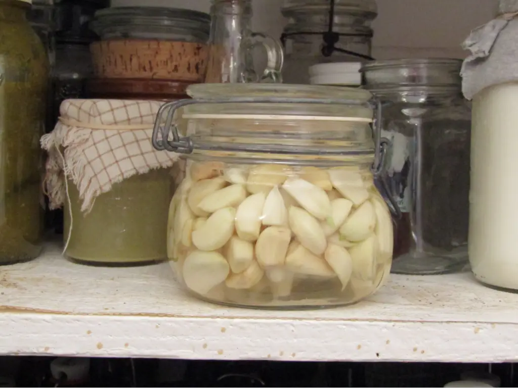 jar of fermenting garlic cloves in a cupboard