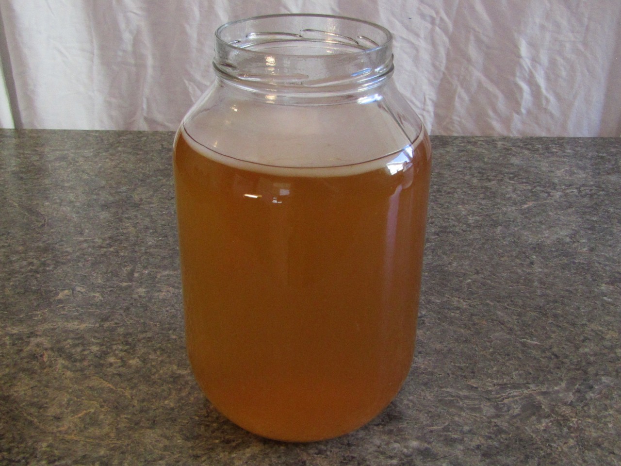 a one gallon jar filled with kombucha with a SCOBY floating on the surface