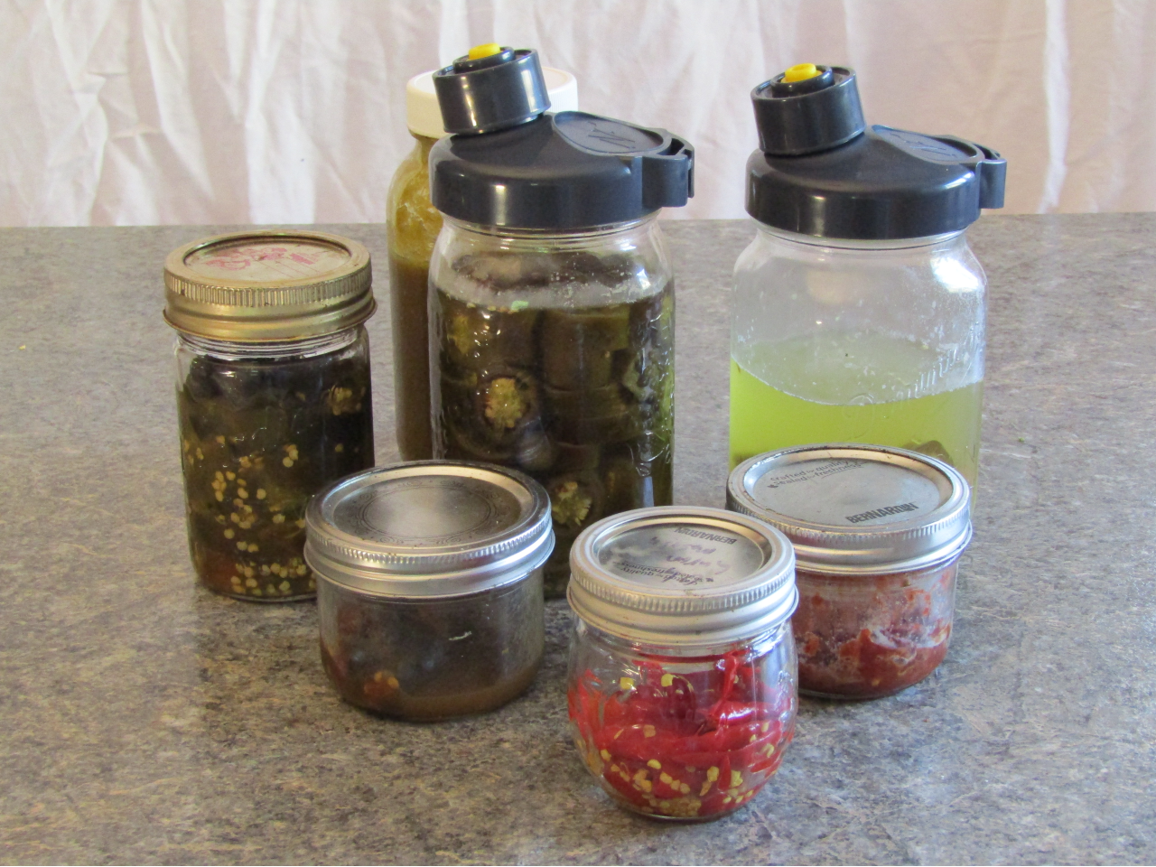Six jars of various sizes holding different types of fermented hot peppers