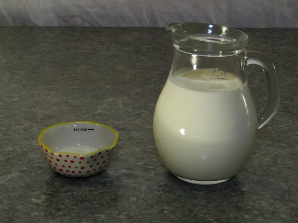 Pitcher of cream and a bowl of yogurt starter