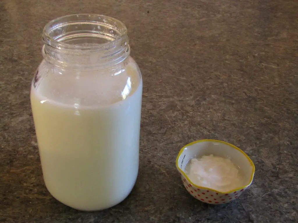 rehydrated powdered milk and a bowl of yogurt culture