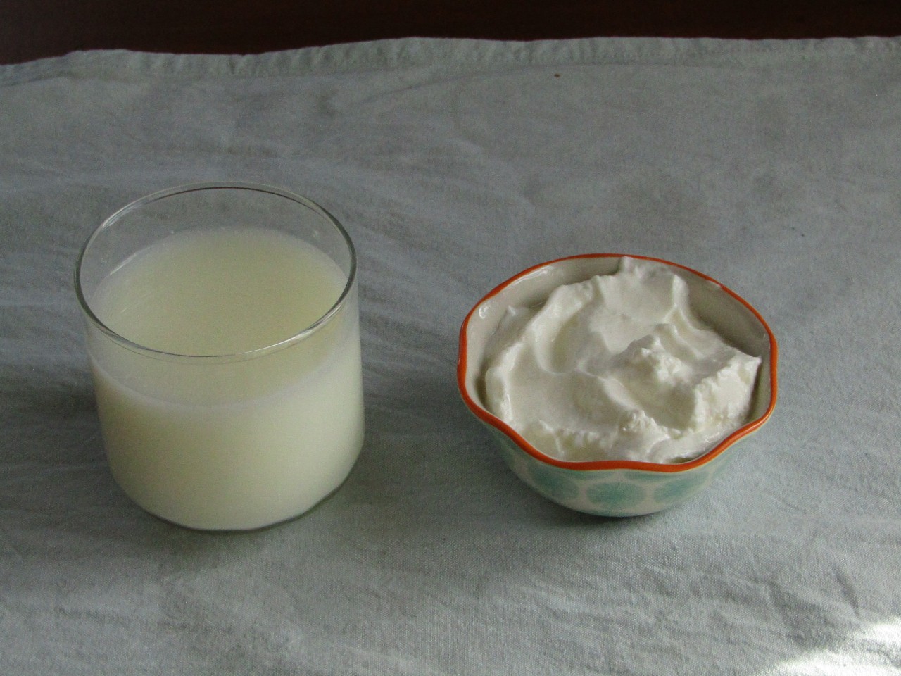 small glass of kefir and a small bowl of yogurt