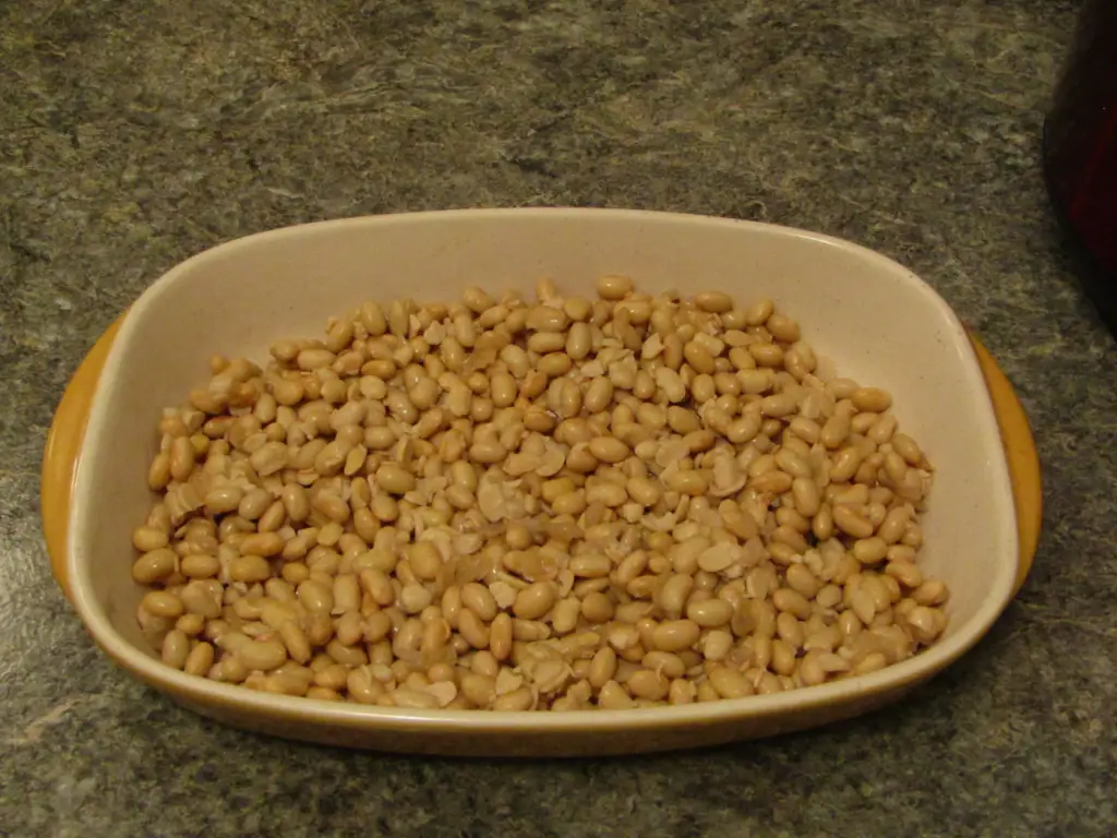 cooked soy beans spread out on a ceramic pan